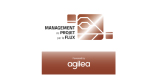 PFormatrice Management de Projet par le Flux